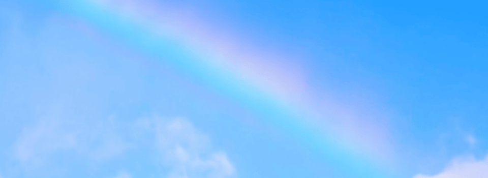 吉林省高考志愿填报指南_吉林省2025年高考成绩查询时间及途径_高考成绩查询